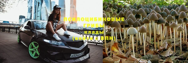 трава Михайловка