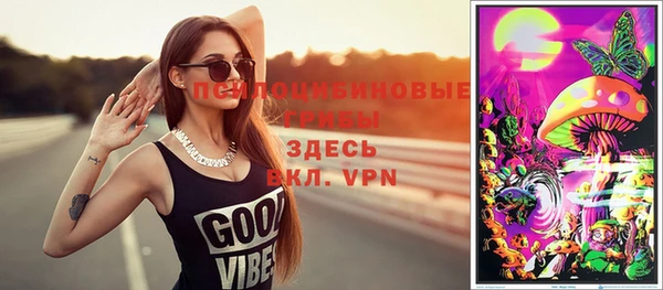 mdpv Надым