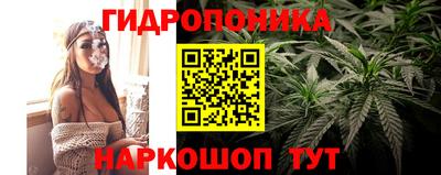 стафф Абакан