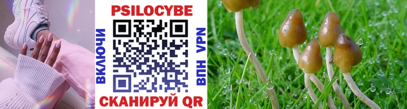 даркнет сайт  Амурск  Псилоцибиновые грибы Cubensis 