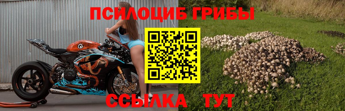Амурск  дарнет шоп  Вход с VPN  Псилоцибиновые грибы прущие грибы 