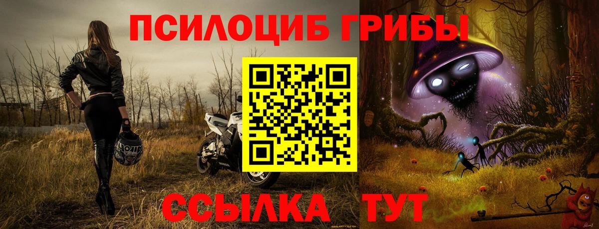 Псилоцибиновые грибы MAGIC MUSHROOMS  Псилоцибиновые грибы прущие грибы  наркота  Амурск 