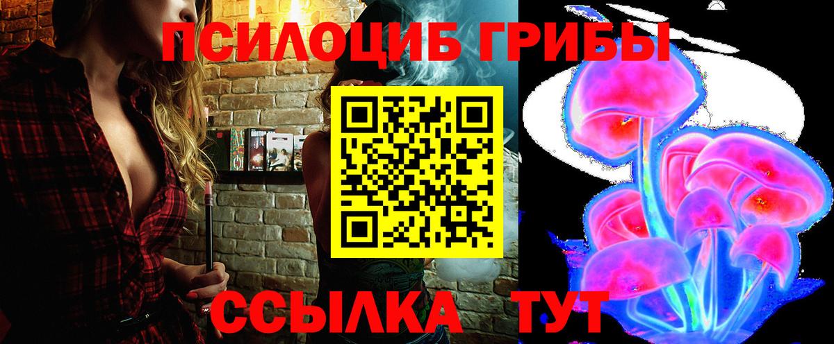 Галлюциногенные грибы Psilocybine cubensis Амурск