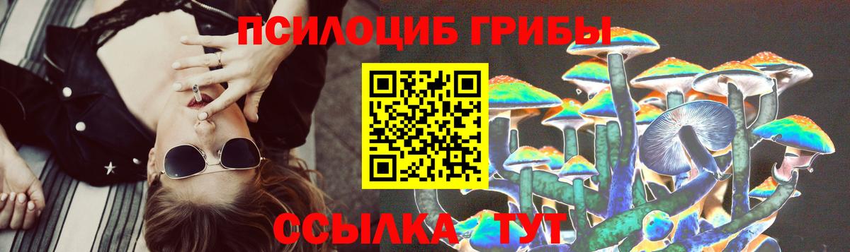Псилоцибиновые грибы прущие грибы Амурск
